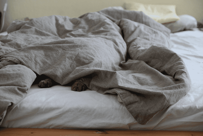Lençol cinza bem amassado e desarrumado em cima de uma cama.